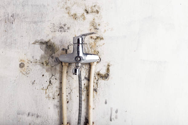Best Mold Cleaning Services  in Manville, NJ