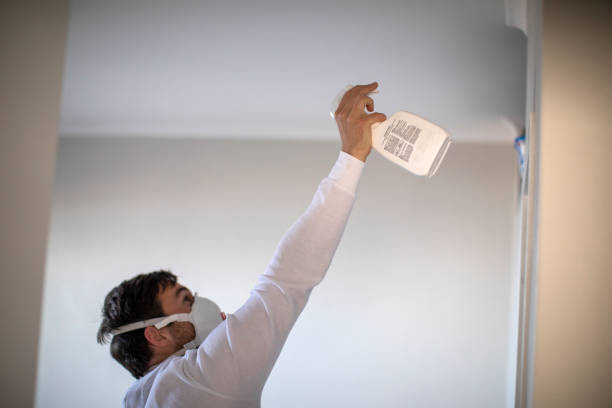Best Certified Mold Removal  in Manville, NJ