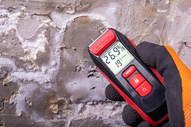 Best Residential Mold Removal  in Manville, NJ