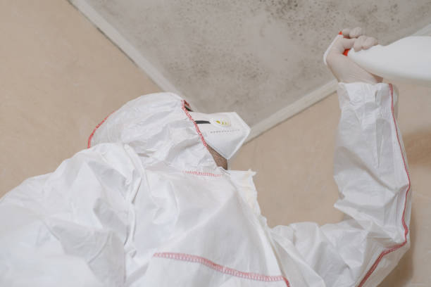 Best Commercial Mold Removal  in Manville, NJ
