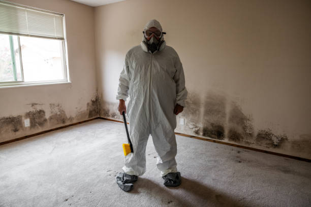 Best Crawl Space Mold Removal  in Manville, NJ